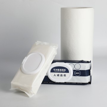 Flushable Toilet Wipes That Is More Suitable For Personal Hygiene Cleaning